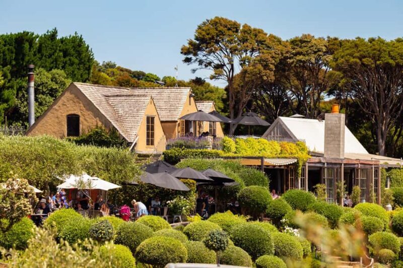 Waiheke Island: Afternoon Wine Tour with Oceanfront Lunch - Who Would Love This Tour?