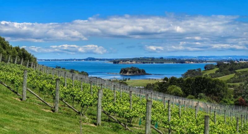 Waiheke Island: Afternoon Wine Tour with Oceanfront Lunch - FAQ