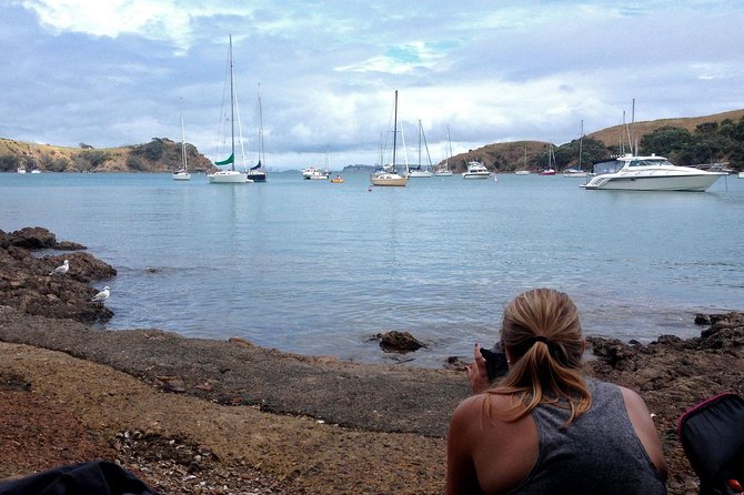 Waiheke Island Double Headland Coastal Walk - Scenic Highlights Along the Coastal Trail