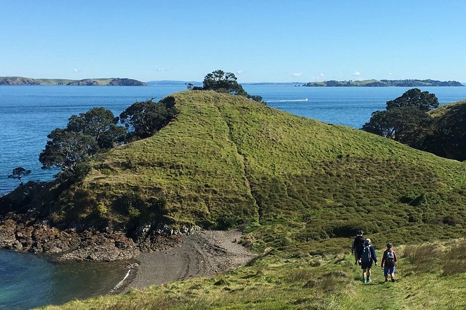 Waiheke Island Double Headland Coastal Walk - Essential Hiking Gear and Preparation