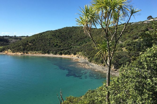 Waiheke Island Double Headland Coastal Walk - Tips for a Comfortable and Enjoyable Hike