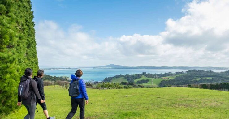 Waiheke Island: Double Headland Premium Guided Coastal Walk - Activity Details
