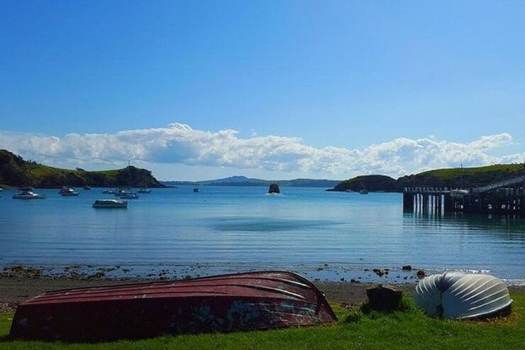 Waiheke Island: Double Headland Premium Guided Coastal Walk - Experience Highlights