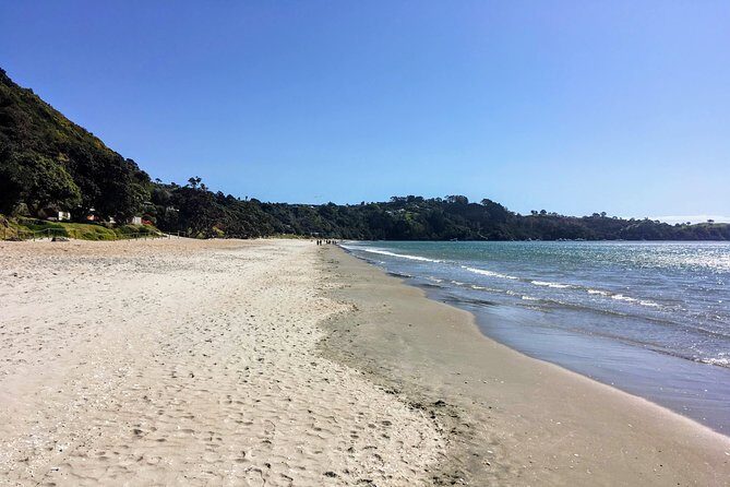 Waiheke Island Experience Tour - Final Thoughts