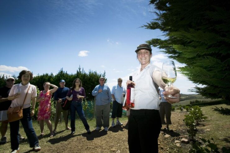 Waiheke Island: Ferry & Hop-On Hop-Off Explorer Bus Tickets - Explore 16 Unique Attractions on Waiheke Island