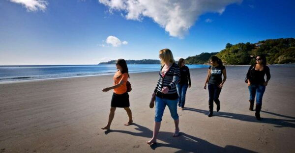 Waiheke Island: Ferry & Hop-On Hop-Off Explorer Bus Tickets - Additional Activities to Enhance Your Waiheke Island Experience