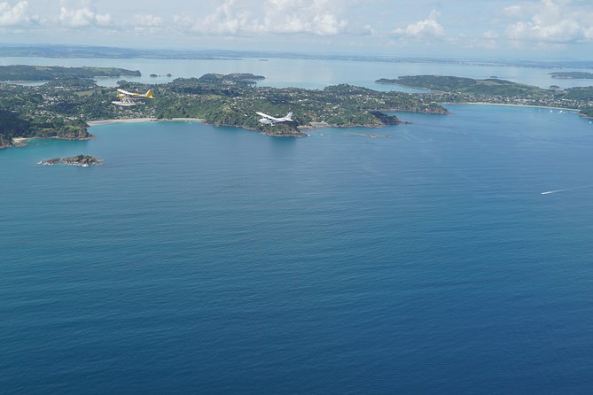 Waiheke Island - Fly and Dine (from Ardmore Airport) - Reviews and Questions