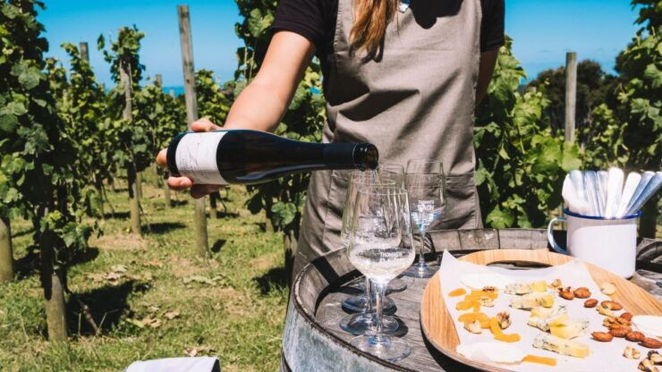 Waiheke Island Gourmet Food and Wine Tour With Platter Lunch - Tour Details