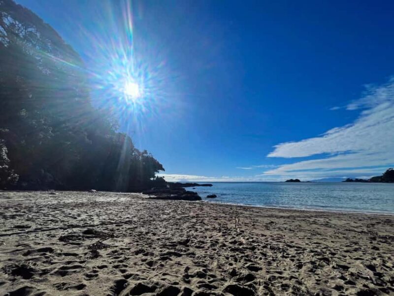 Waiheke Island: Guided Luxury Wine Tour with Tastings - What to Expect During the Tour