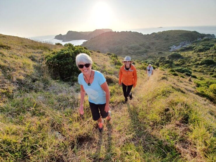 Waiheke Island: Gulf Marine Park Sailing Adventure & Lunch - Activity Details