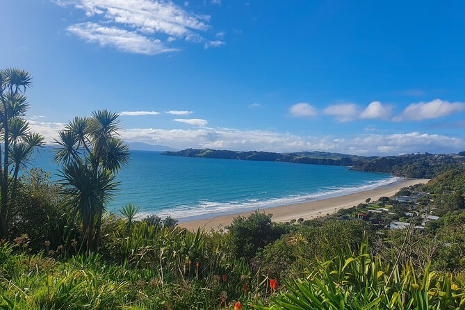 Waiheke Island Half Day Scenic Wine and Lunch - Wine Tasting and Lunch Experience