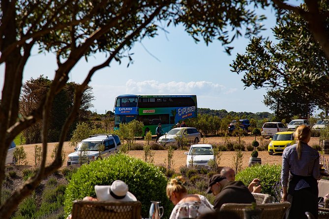 Waiheke Island Hop-On Hop-Off Explorer Bus - Traveler Photos and Tips