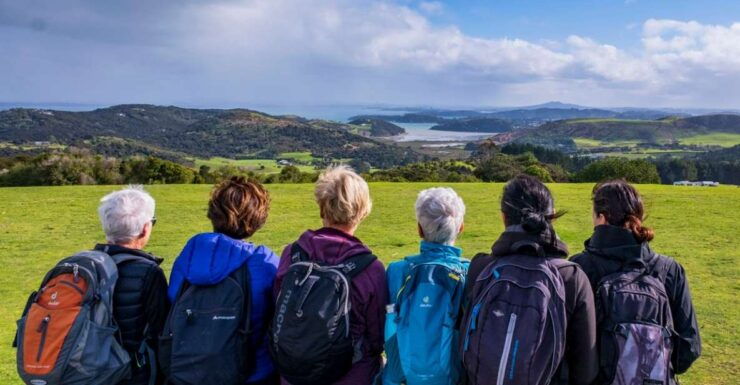 Waiheke Island: Premium Full Day Guided Cultural Tour - Tour Highlights