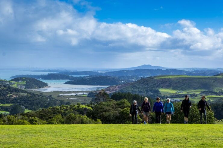 Waiheke Island: Premium Vineyard, Wine Tasting and Bush Walk - Activity Duration and Guide