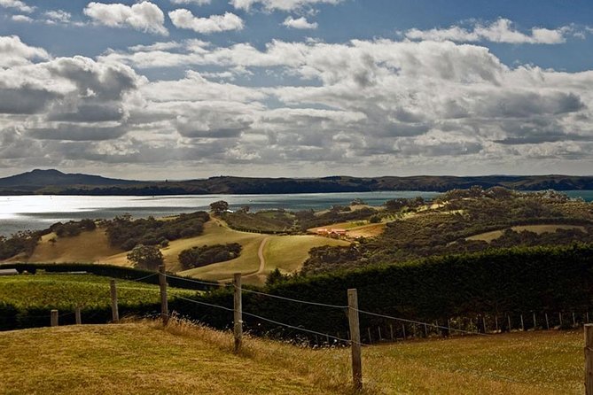 Waiheke Island Private Art Walk - Inclusions