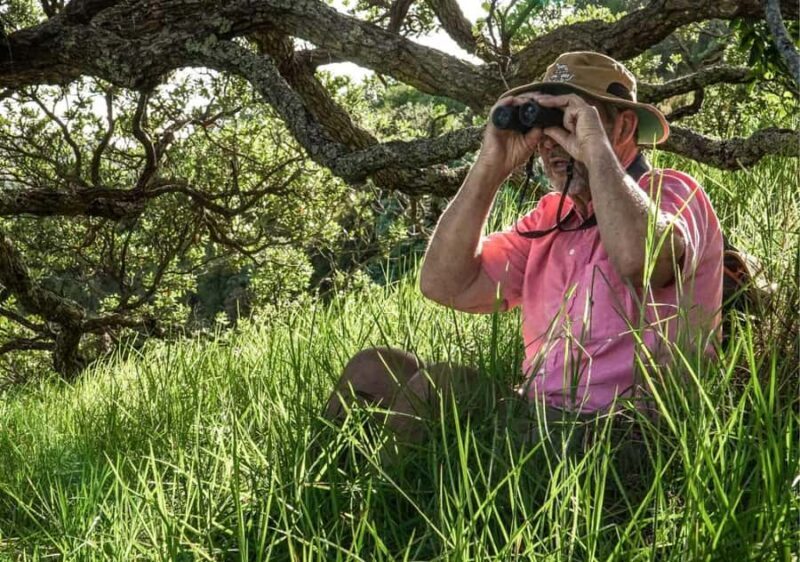 Waiheke Island: Private Birding Tour | Terra & Tide - Detailed Breakdown of the Tour