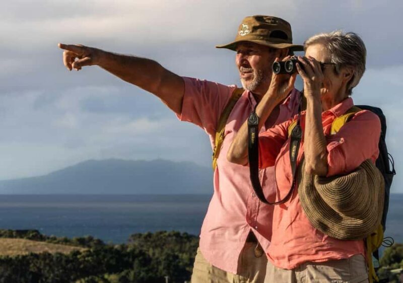 Waiheke Island: Private Birding Tour | Terra & Tide - The Sum Up