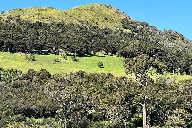 Waiheke Island Private Cultural Experience - Common Questions