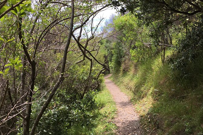 Waiheke Island Private Double Headland Walk - Tips for a Memorable Experience