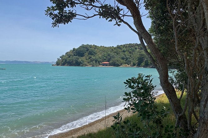 Waiheke Island Private Freedom Te Ara Hura Walk - Overview of the Waiheke Island Private Freedom Te Ara Hura Walk