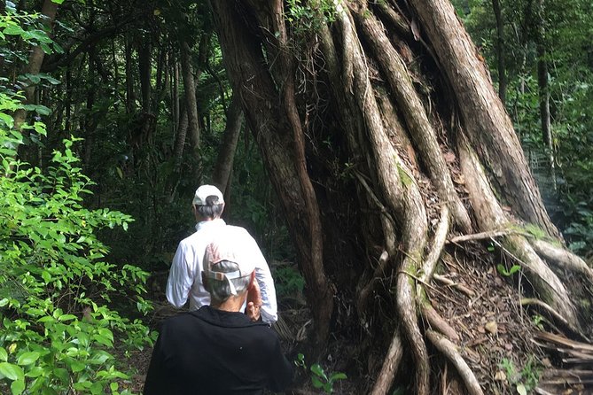 Waiheke Island Private Freedom Te Ara Hura Walk - How to Book the Waiheke Island Private Freedom Te Ara Hura Walk
