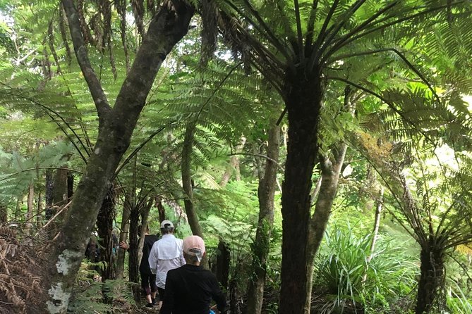 Waiheke Island Private Guided Te Ara Hura Walk - What to Expect on the Waiheke Island Private Guided Te Ara Hura Walk