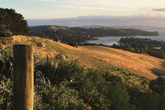 Waiheke Island Private Guided Te Ara Hura Walk - Additional Information for the Waiheke Island Private Guided Te Ara Hura Walk