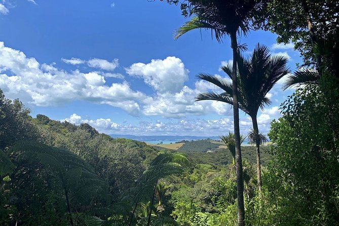 Waiheke Island Private Guided Te Ara Hura Walk - Cancellation Policy for the Waiheke Island Private Guided Te Ara Hura Walk
