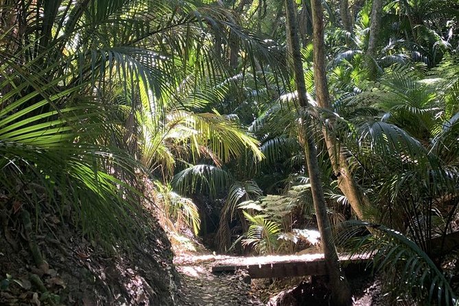 Waiheke Island Private Guided Te Ara Hura Walk - Pricing for the Waiheke Island Private Guided Te Ara Hura Walk