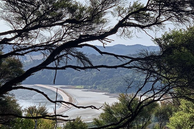 Waiheke Island Private Guided Te Ara Hura Walk - The Sum Up