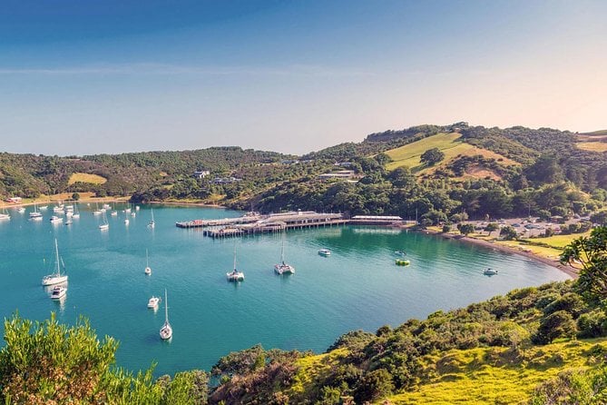 Waiheke Island Private Luxury Experience - Traveler Photos