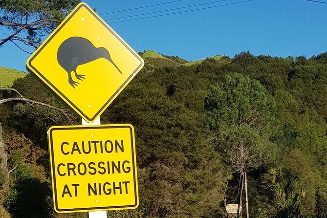 Waiheke Island Private Tours - Is This Tour Right for You?