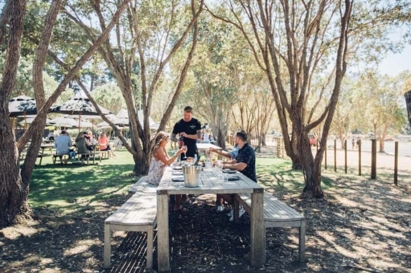 Waiheke Island: Scenic Island Wine Tour & Local Wine Tasting - Transportation & Group Size