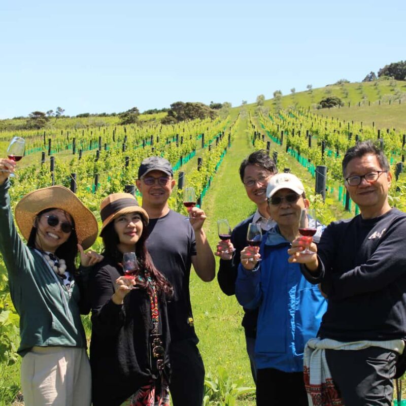 Waiheke Island Scenic Wine Tour - Who Would Love This Tour?