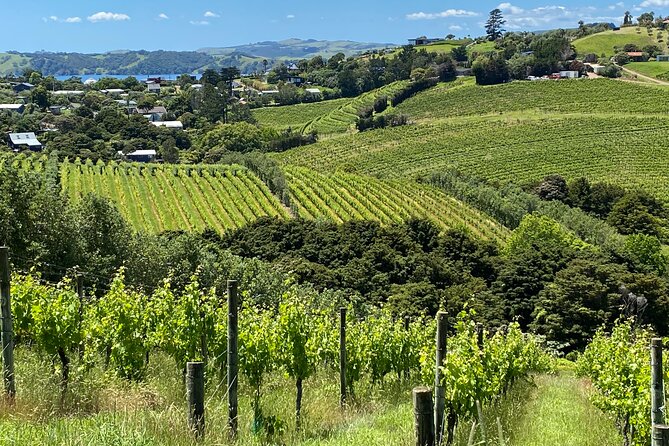 Waiheke Island: Sip & Savour Tour - Cancellation Policy and Weather Requirements