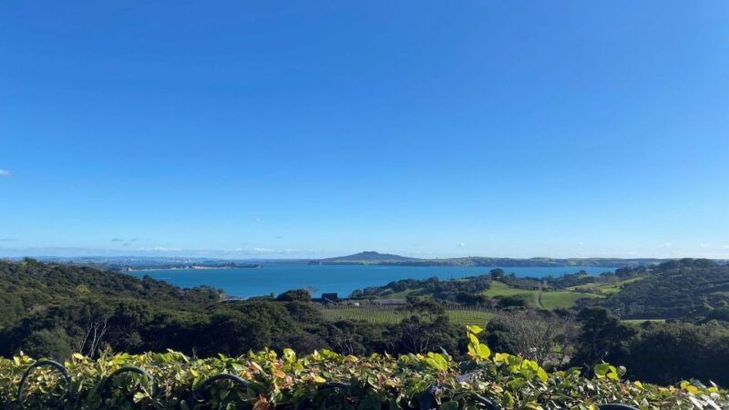 Waiheke Island: The Essence of Waiheke Wine Tour - Introduction