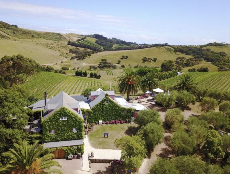 Waiheke Island: Tour With Wine Tastings and Restaurant Lunch - Activity Details and Highlights