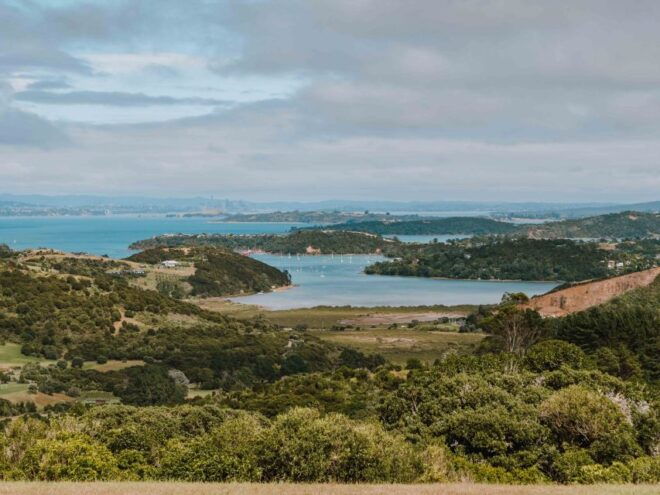 Waiheke Island: Tour With Wine Tastings and Restaurant Lunch - Customer Reviews and Ratings