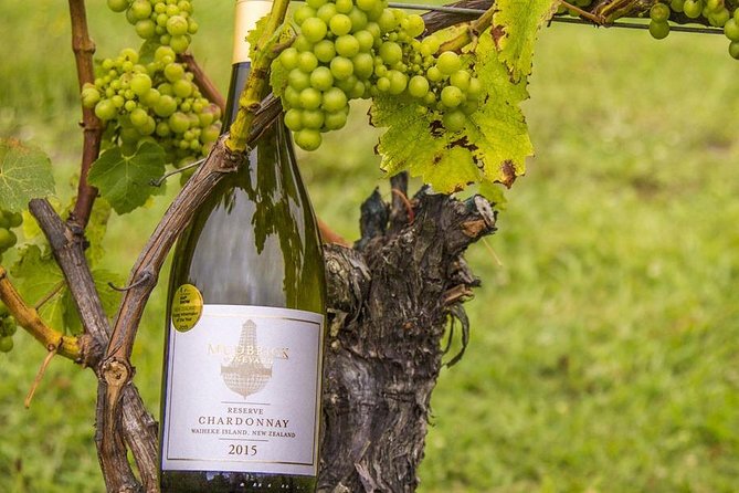 Waiheke Island Vineyards and Bush Walk - Overview and Activities