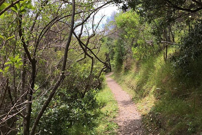 Waiheke Island Vineyards and Bush Walk - Cancellation Policy