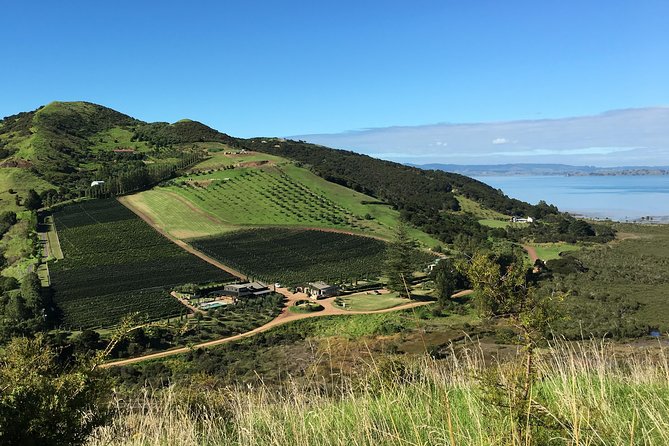 Waiheke Island Vineyards and Bush Walk - Additional Information