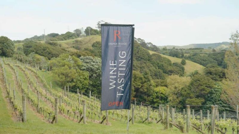 Waiheke Island: Wine, Gin, and Olive Oil Tour with Lunch - Good To Know