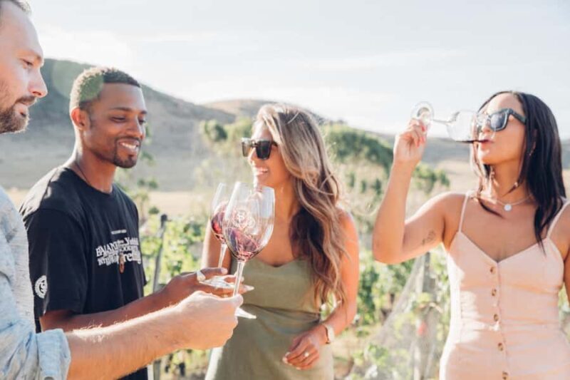 Waiheke Island: Wine Tour & Lunch at Award Winning Venue - The Route: From Ferry to Vineyard to Beachfront Bliss