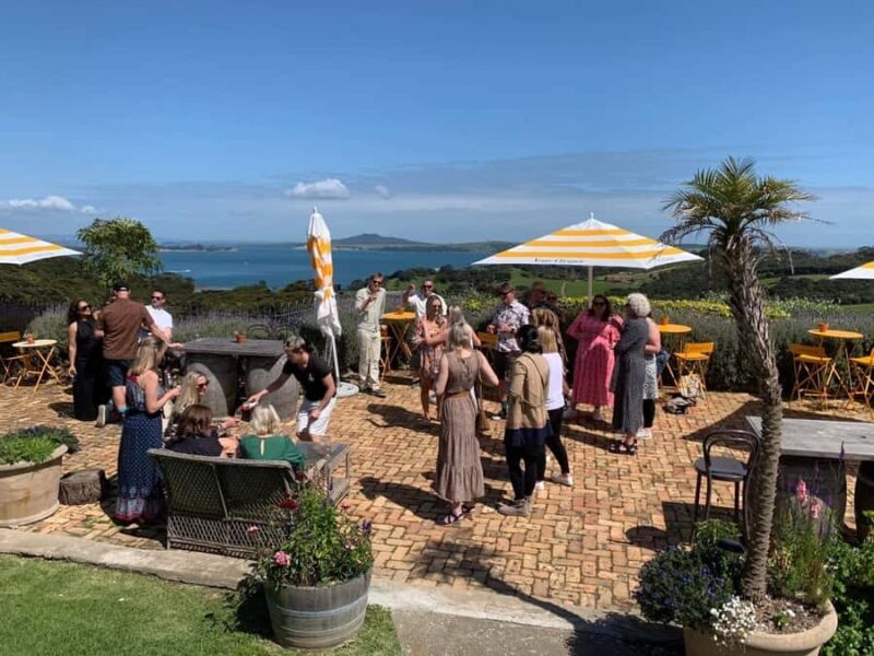 Waiheke Island: Wine Tour & Lunch at Award Winning Venue - Authentic Experiences from Review Highlights