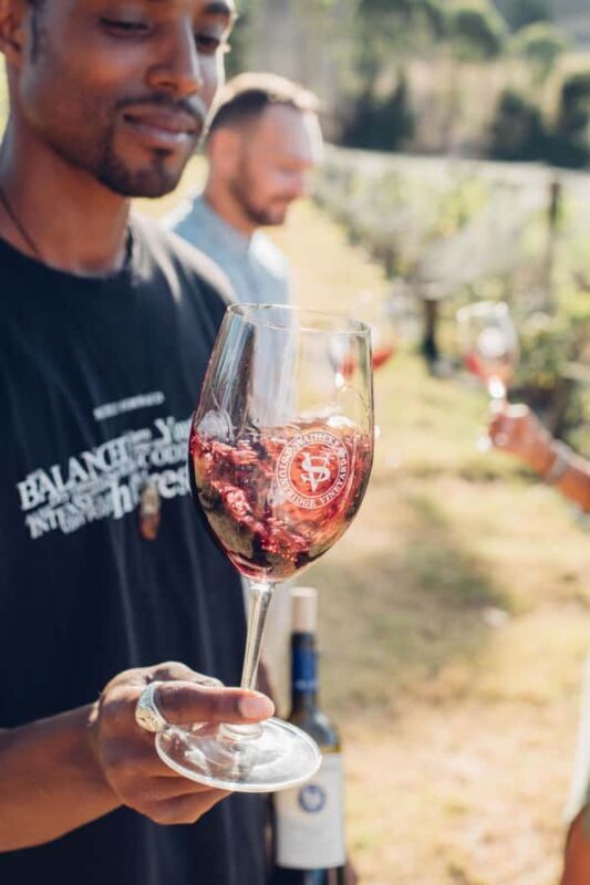 Waiheke Island: Wine Tour & Lunch at Award Winning Venue - Final Thoughts