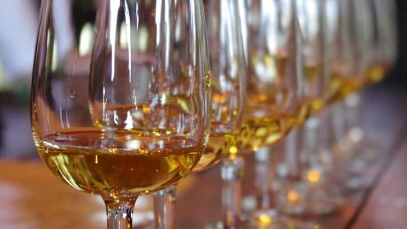 Waiheke Island Wine Tours - PREMIUM Wines - Max 11 clients ! - Good To Know