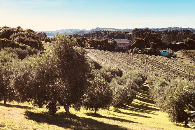 Waiheke Island Winery Tour - Cancellation Policy Details