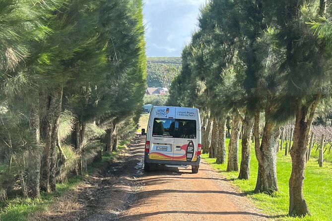 Waiheke Island Winery Tour - Traveler Reviews and Ratings