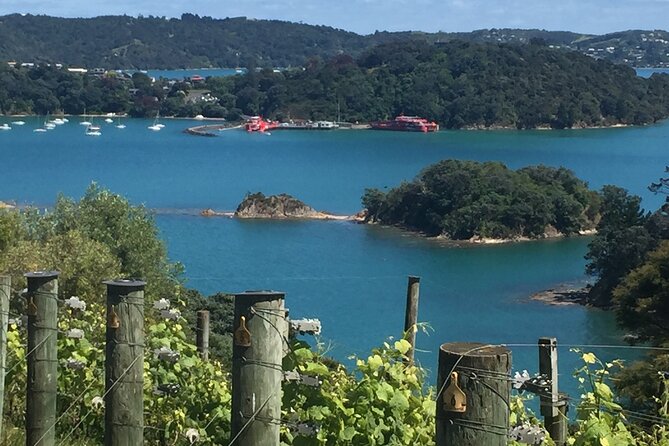 Waiheke Island Winery Tour - Common Questions