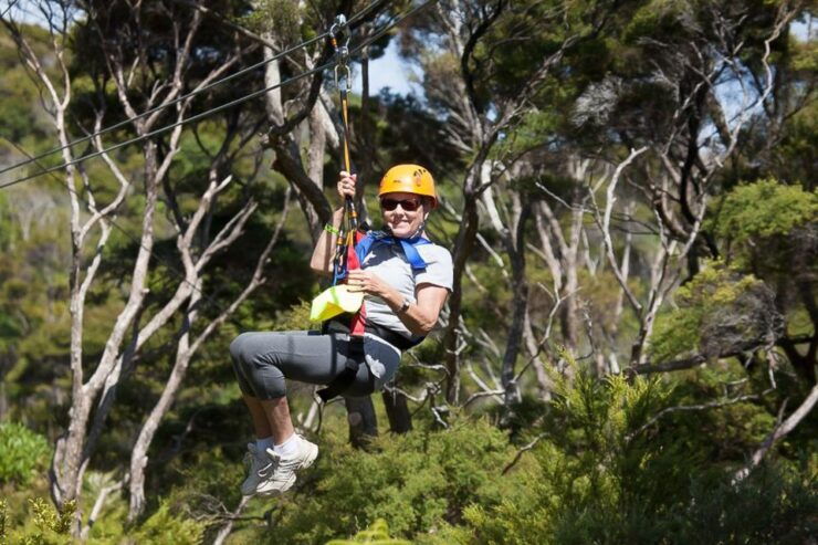 Waiheke Island: Zipline and Native Forest Adventure Trip - Activity Details